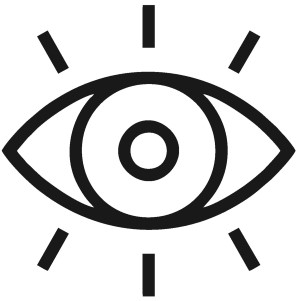 Buena Vista Eyecare Optometry Logo