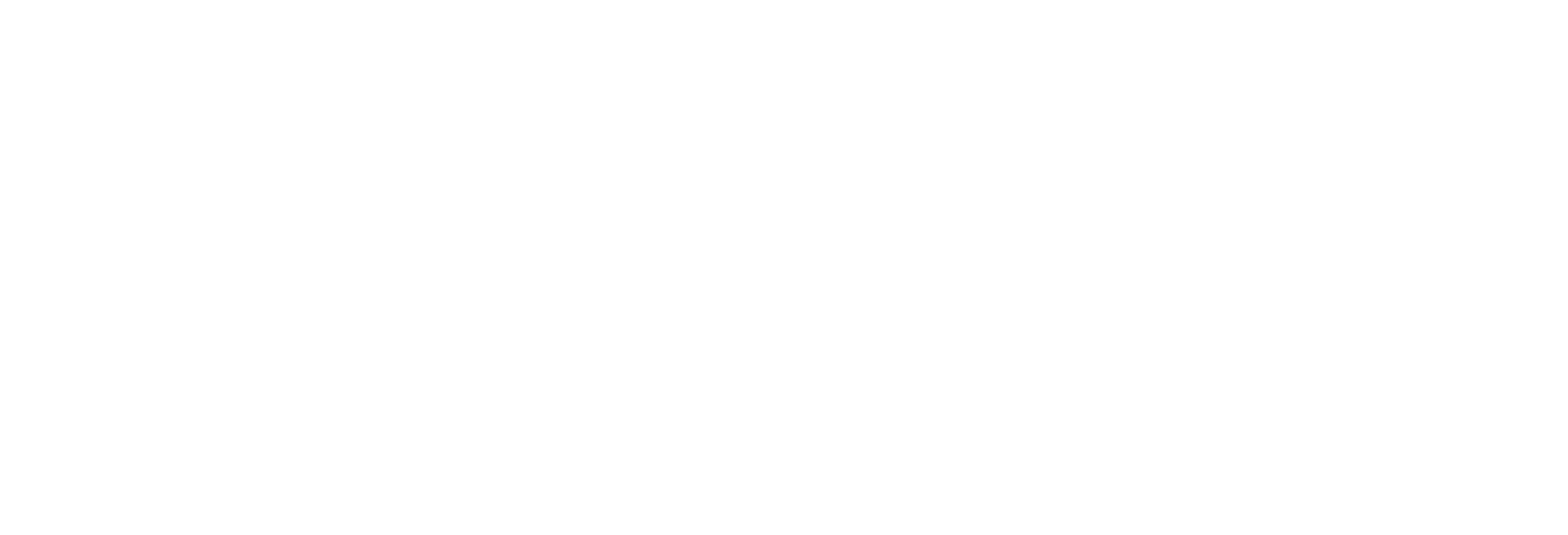 Village Family Eyecare Logo